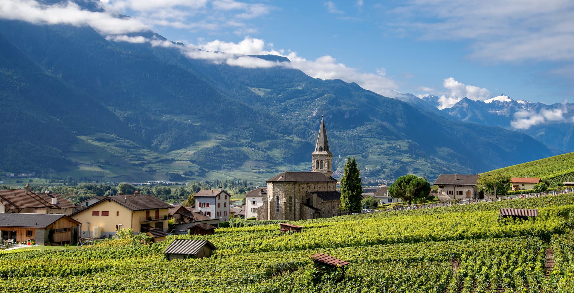 Typische Walliser Landschaft mit Bergkette im Hintergrund