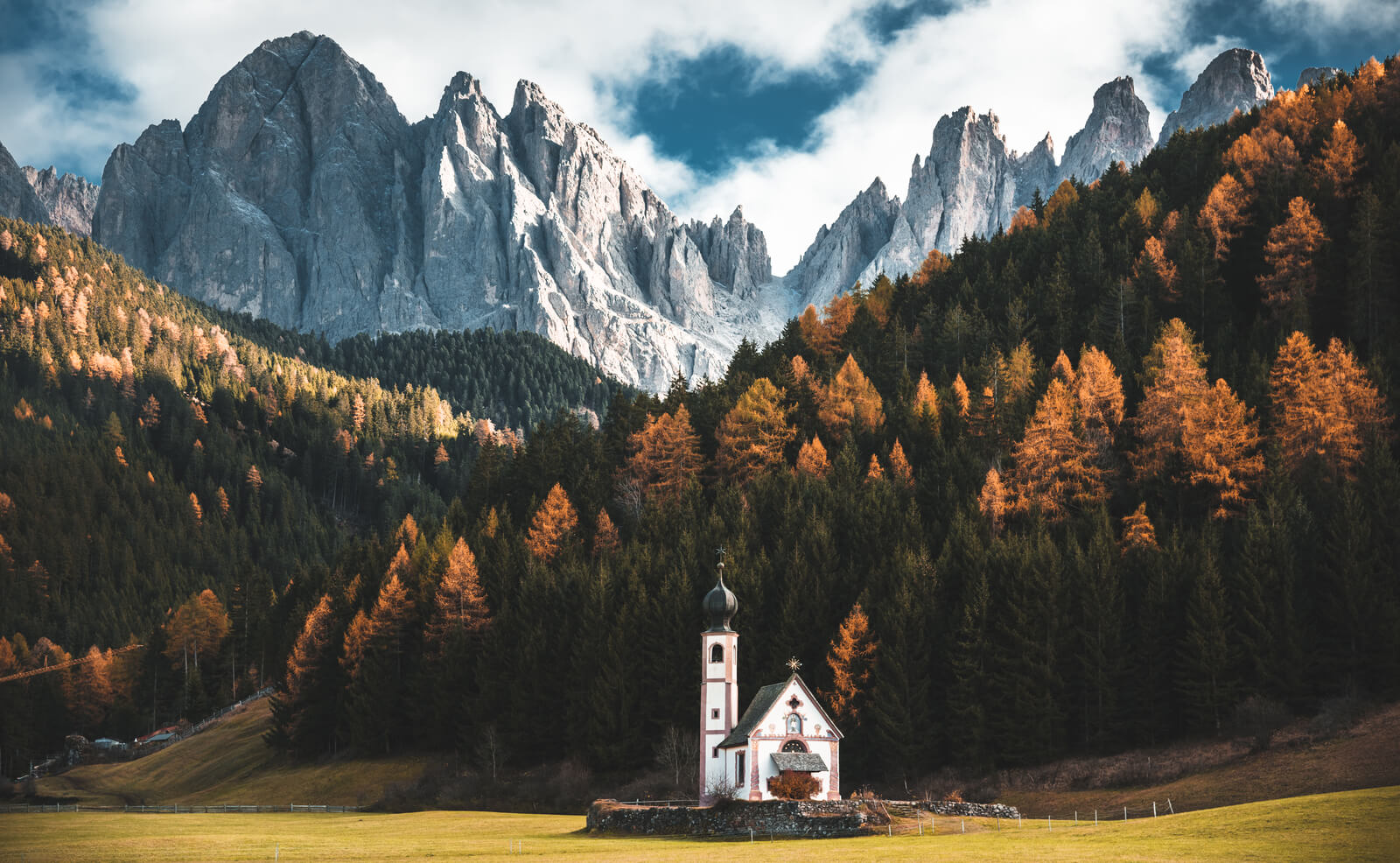 Herbstlicher Wald im Hintergrund schneebedeckte Berge in Österreich