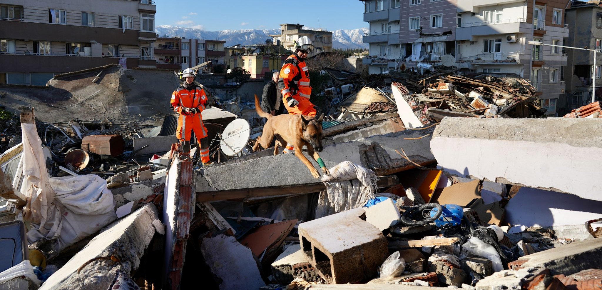 Feuerwehrmänner mit Erdbeben-Suchhund nach Gebäudeeinsturz
